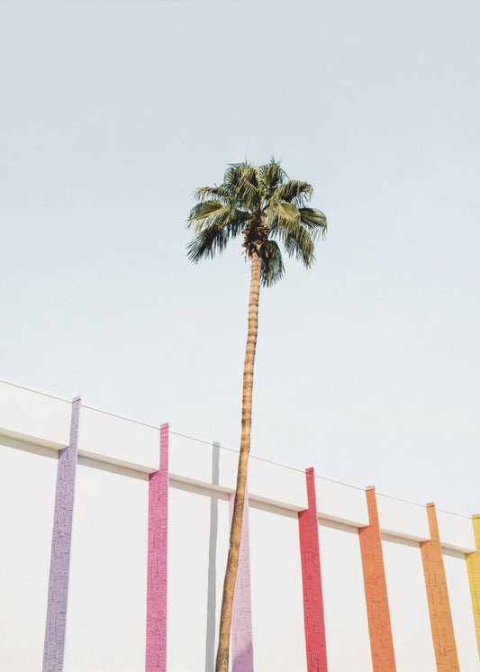 Palm Spring Colors 2 | Canvastavla