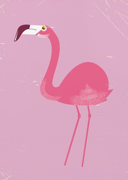 Flamingofågel | Canvastavla