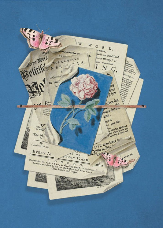 Rosa ros omgiven av vintagepapper | Poster