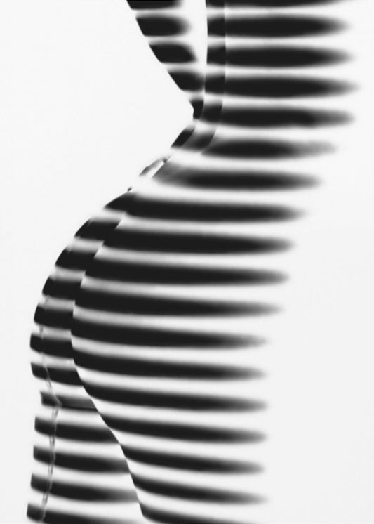Zebra | Poster