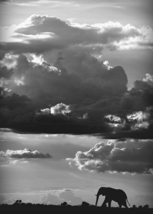 Han vandrar under en afrikansk himmel | Poster