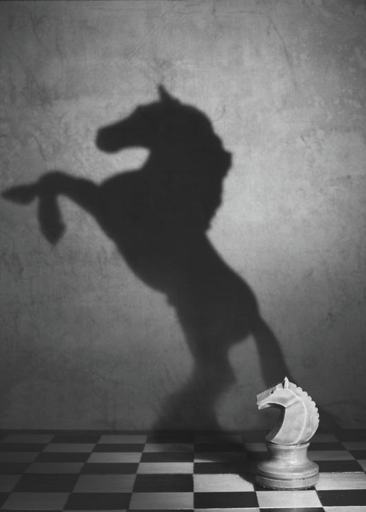 En mustangs själ | Poster