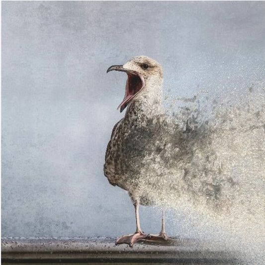 Waterbird | Canvas