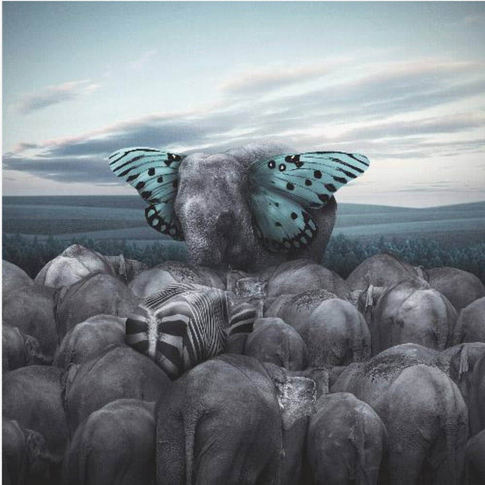 Heja kungen | Canvas