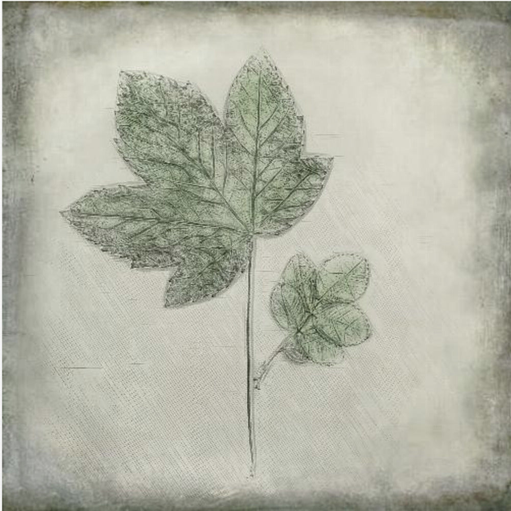 Före förfallet | Canvas