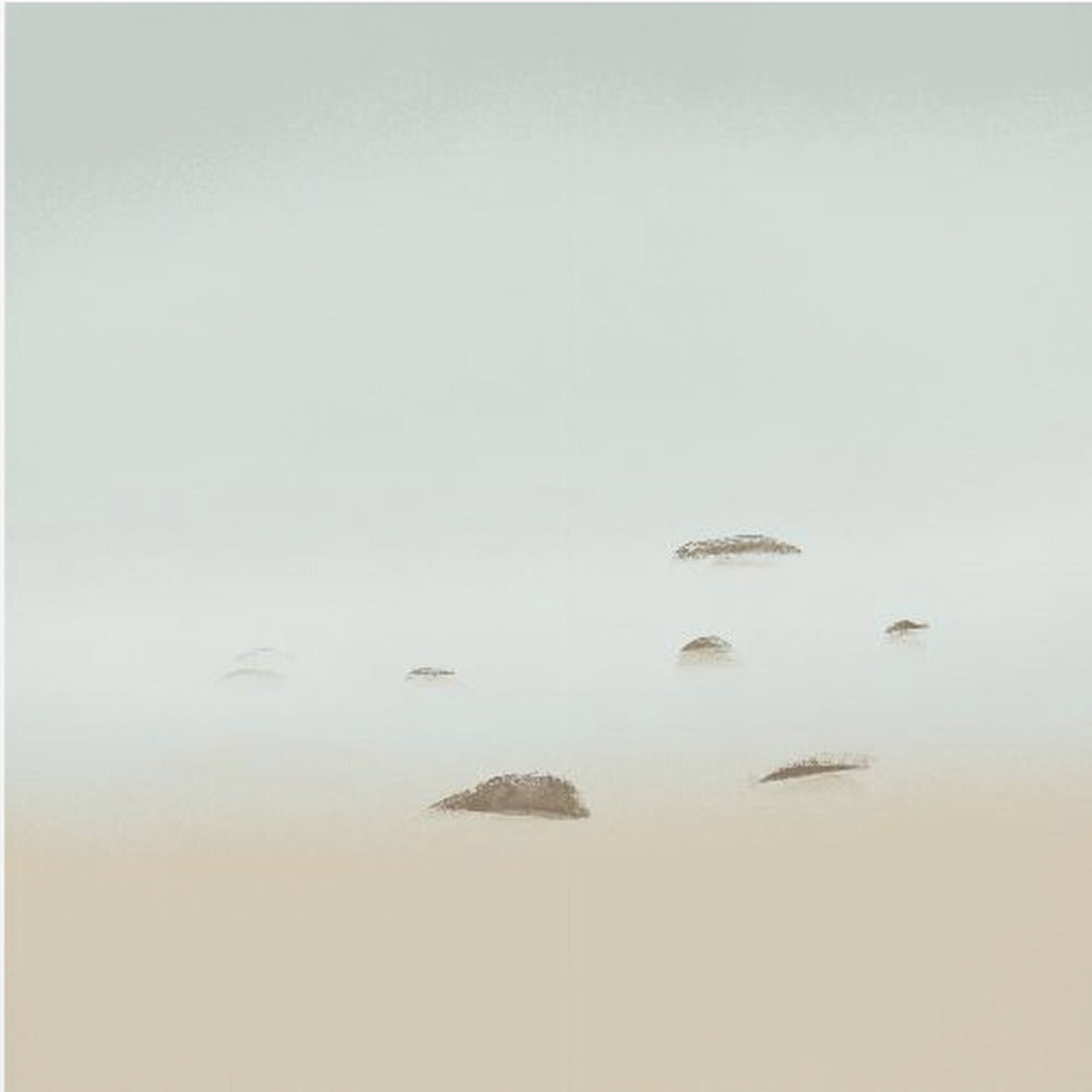 Whispers of Mist | Canvas