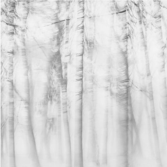 Poetisk skog | Canvas