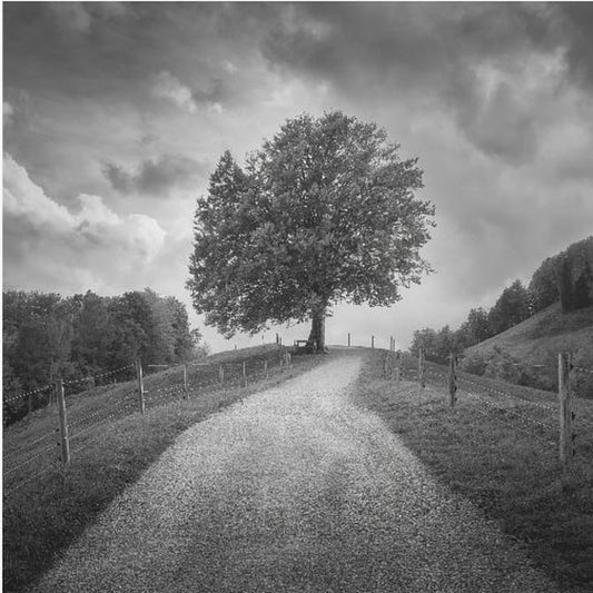 Under svarta himlar | Canvas