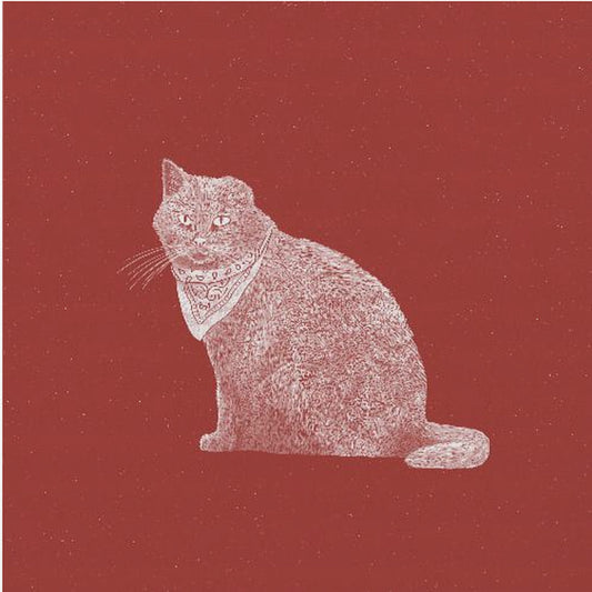 Badass Banditkatt | Canvas