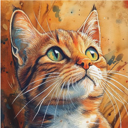 Katten Henry | Poster