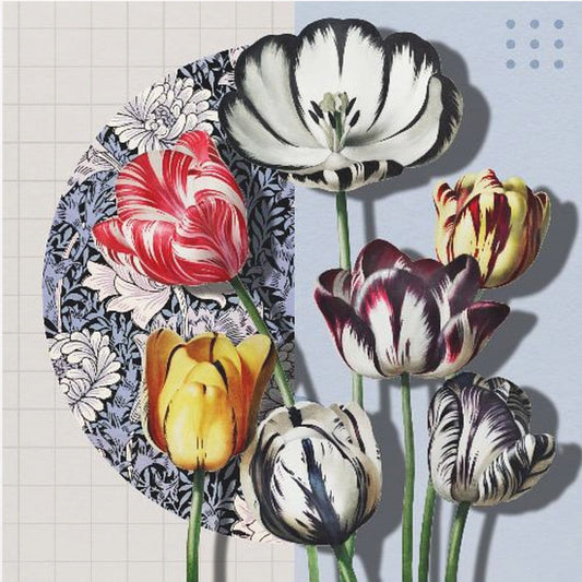3D-kollage med tulpaner | Poster