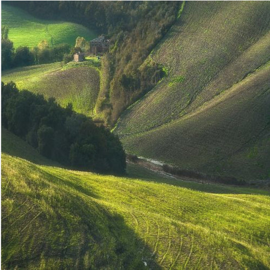 Crete Senses/Toscana | Poster