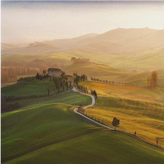 Val d'Orcia | Canvastavla
