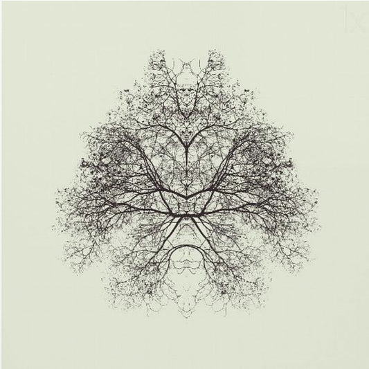 Rorschach-testet | Canvas